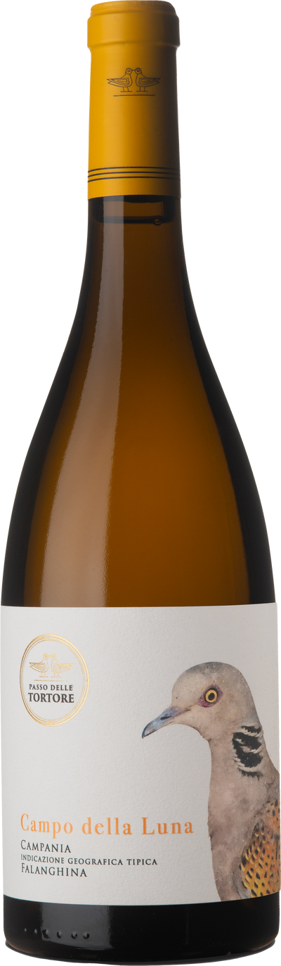 Château Grand Village